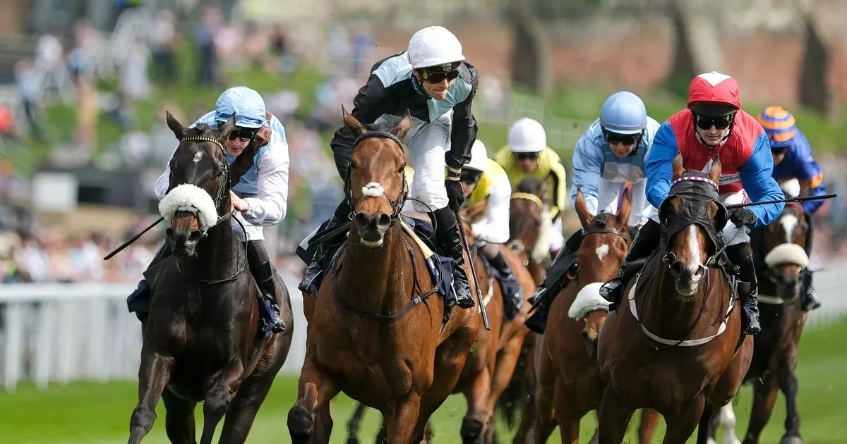 Newsboy's ITV4 tips for Chester and Ascot, plus from Thursday's other meetings