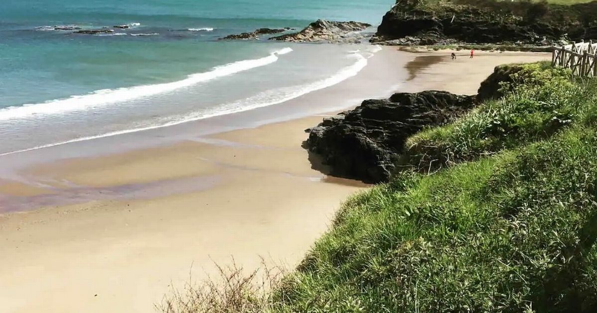 Hidden gem UK beach no one knows about with golden sands and dolphins