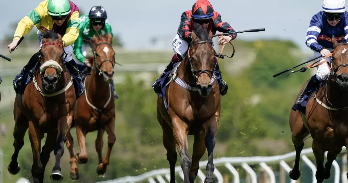Newsboy's racing tips for Wednesday's five meetings, including Brighton nap