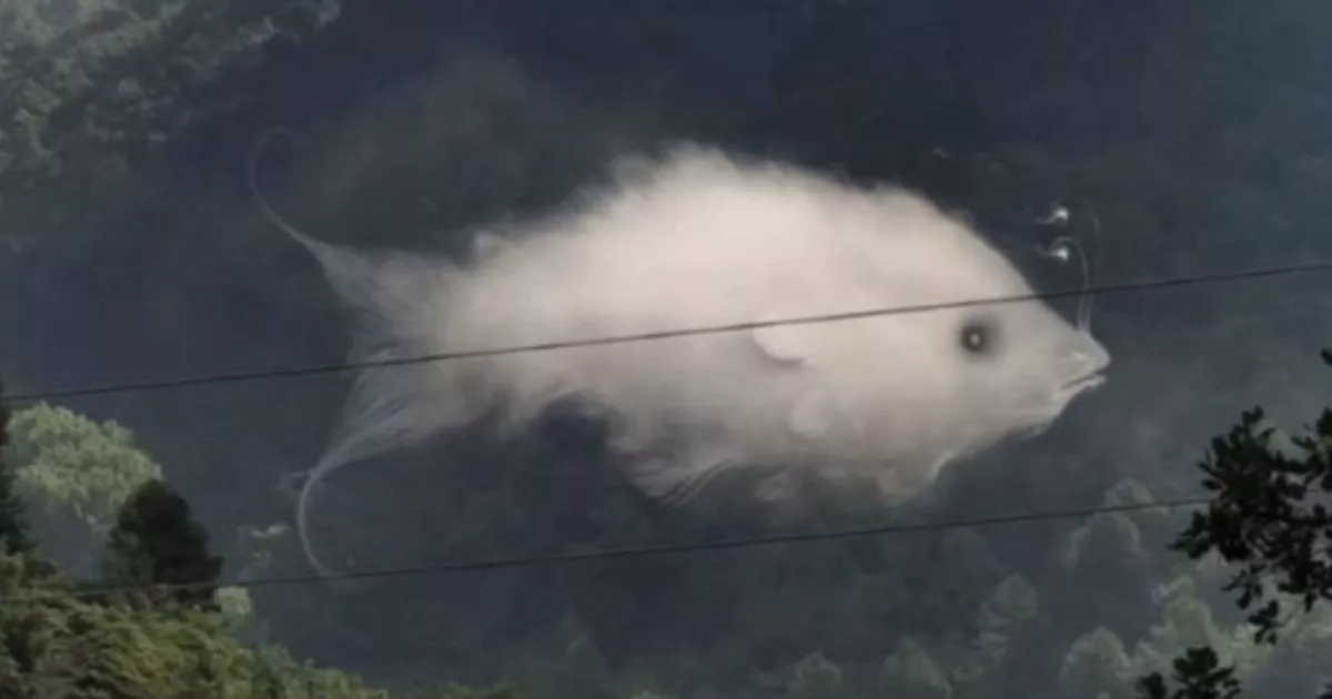 Eerie optical illusion shows you are 'brave on outside' if you spot first detail