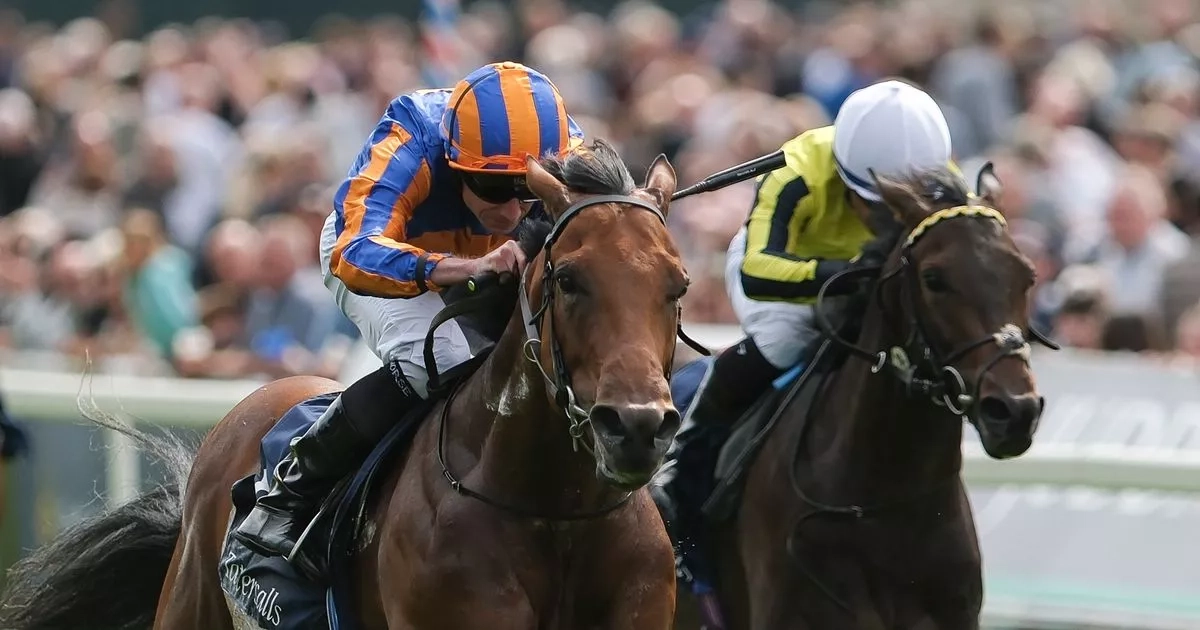 Newsboy's tips from Thursday's five meetings, including six races live on ITV