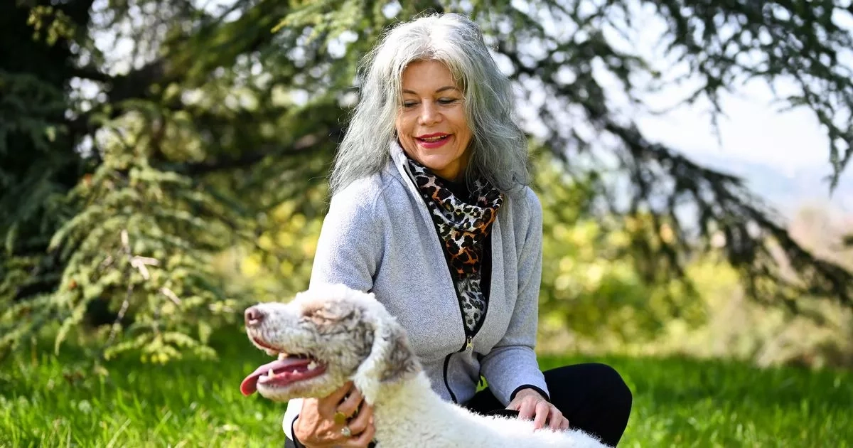 'I went to Britain's 'poshest' village where dog walkers have to sign NDAs'