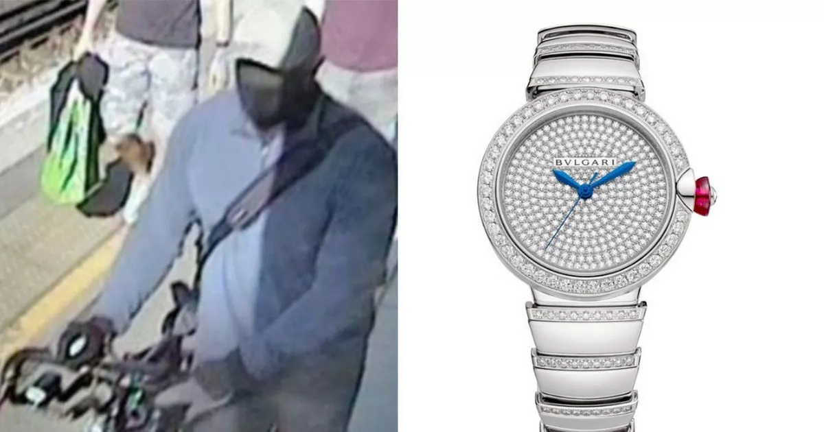 'Night Watcher' who tied up terrified woman and stole £1.4m worth of jewellery seen in new CCTV
