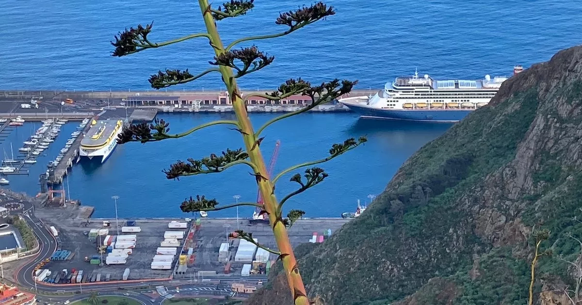 Canary Island's plan for new cable car routes over unique tourist attraction