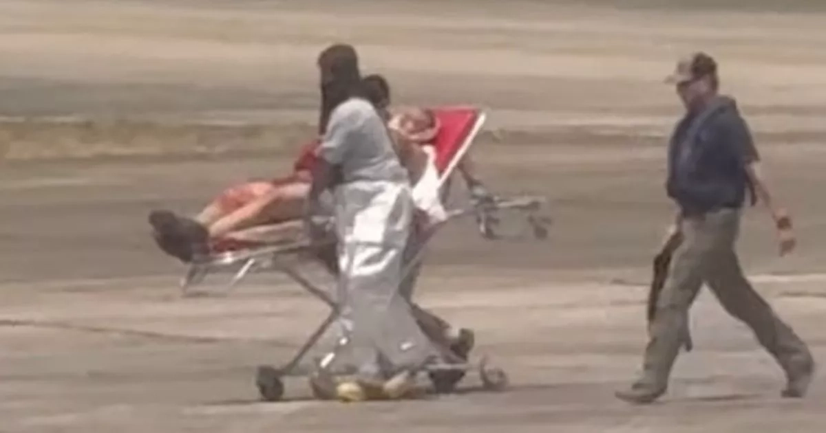 Strange history of teacher who hijacked plane and stabbed three in rampage