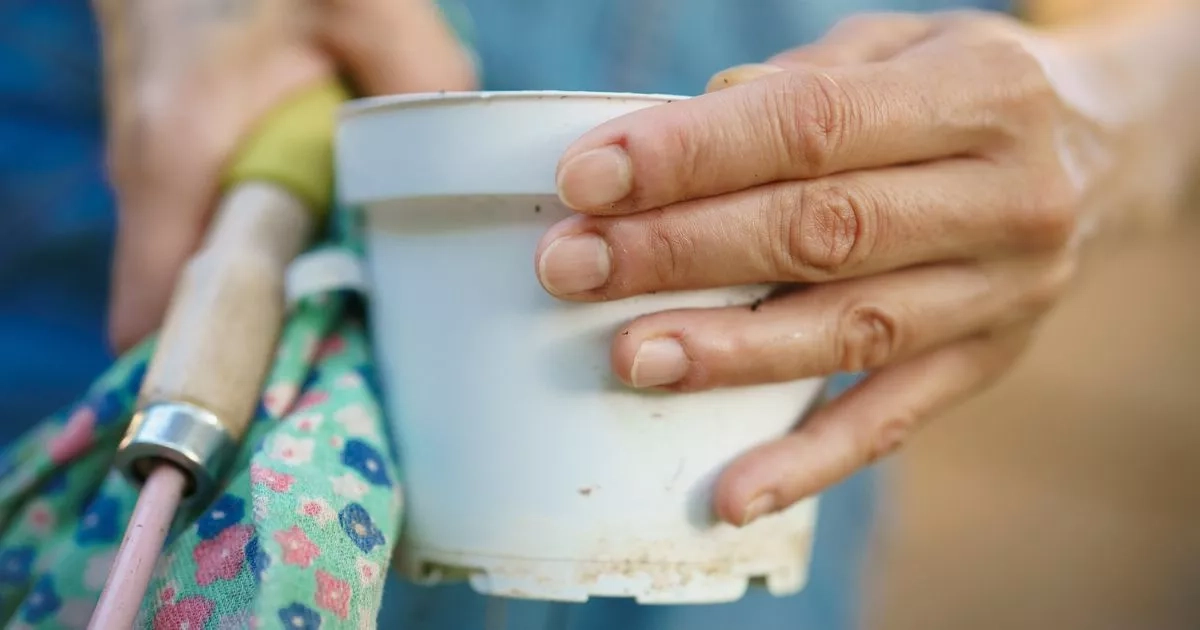 Nourishing £8 hand cream called ‘fantastic for gardeners' and ‘go-to for very dry hands'