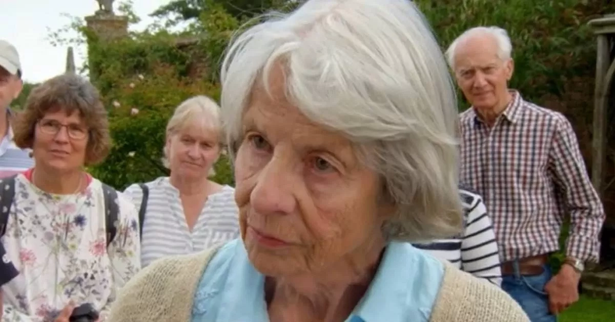 BBC Antiques Roadshow guest politely nods as 'beautiful' inherited bird cage worth fortune