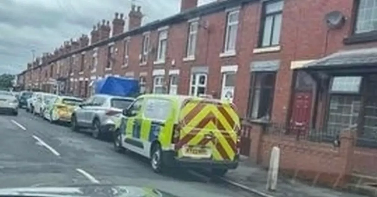 Man's 10 word statement to aunt before 'repeatedly stabbing her' in home