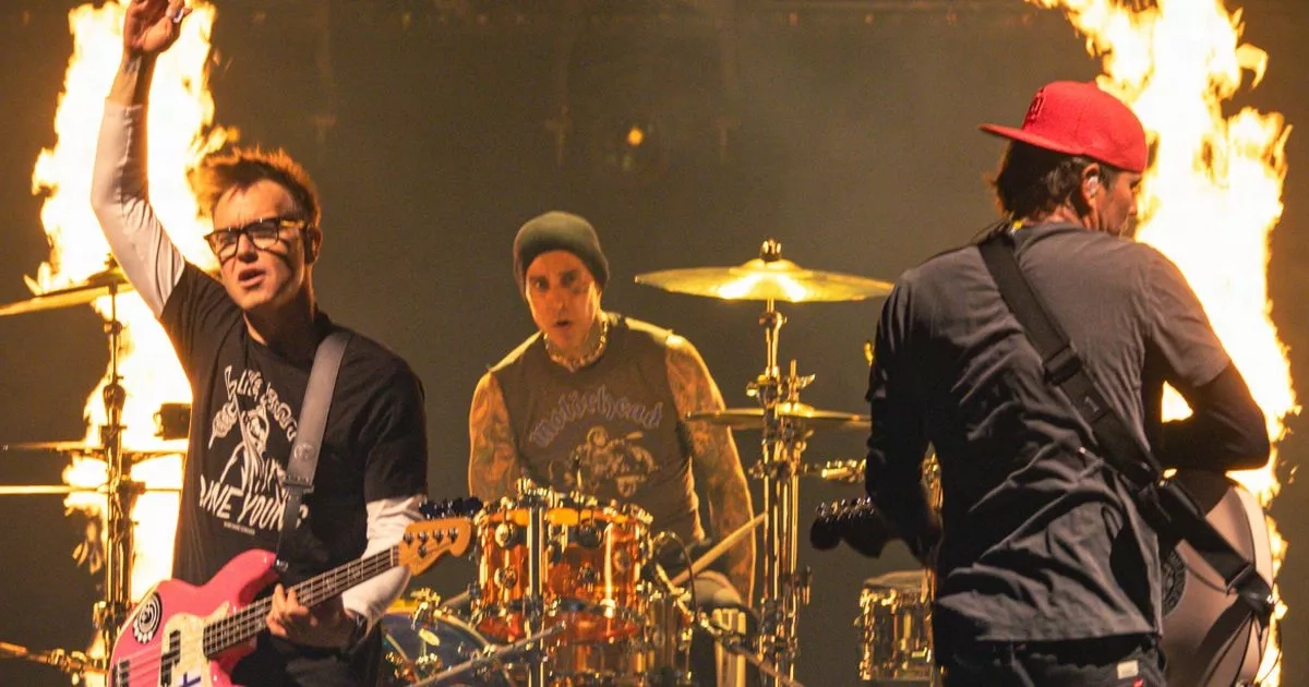 Blink-182's Mark Hoppus claims US forces followed his advice to capture Saddam Hussein
