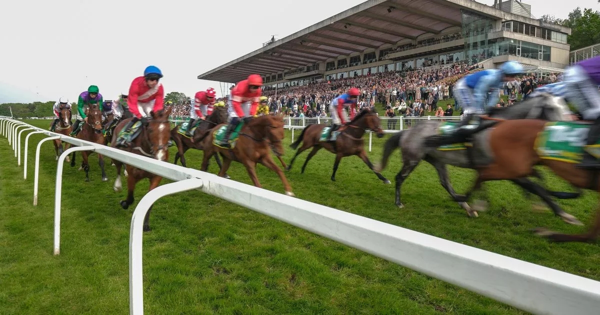 Newsboy's horse racing tips for Thursday's five meetings, including Sandown NAP