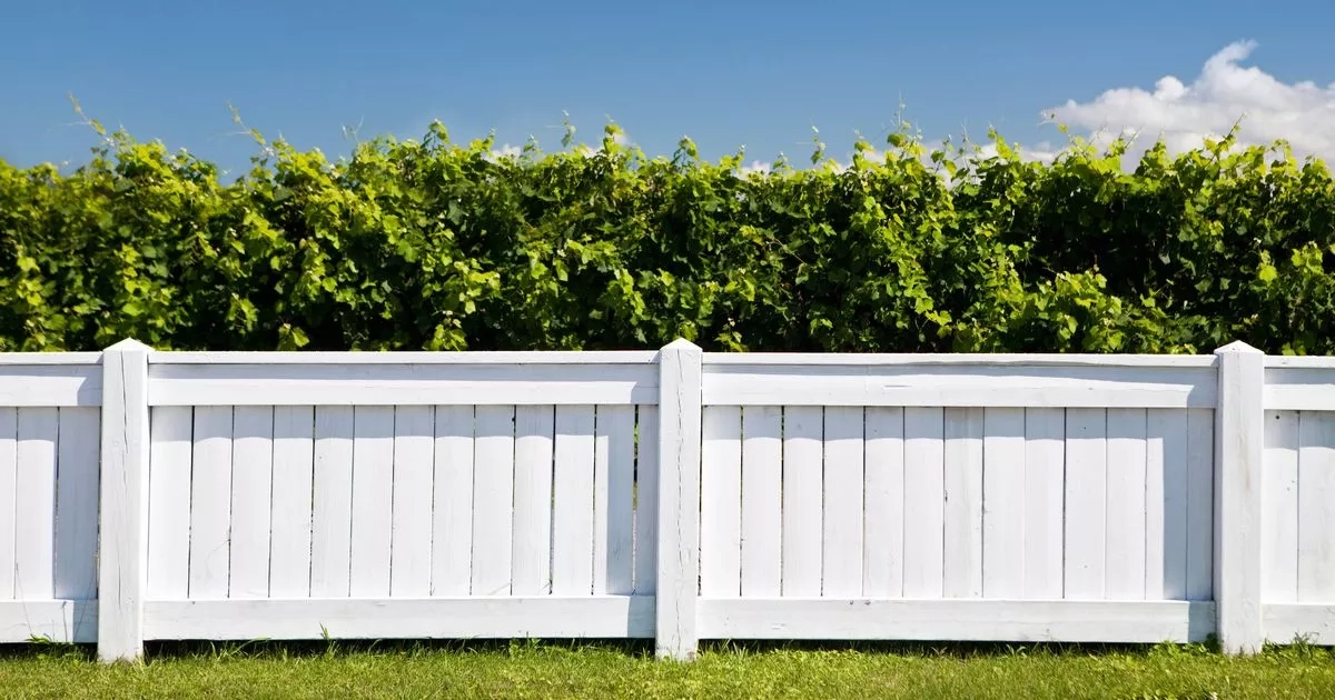 Fence trick that will make your whole garden look bigger in time for summer