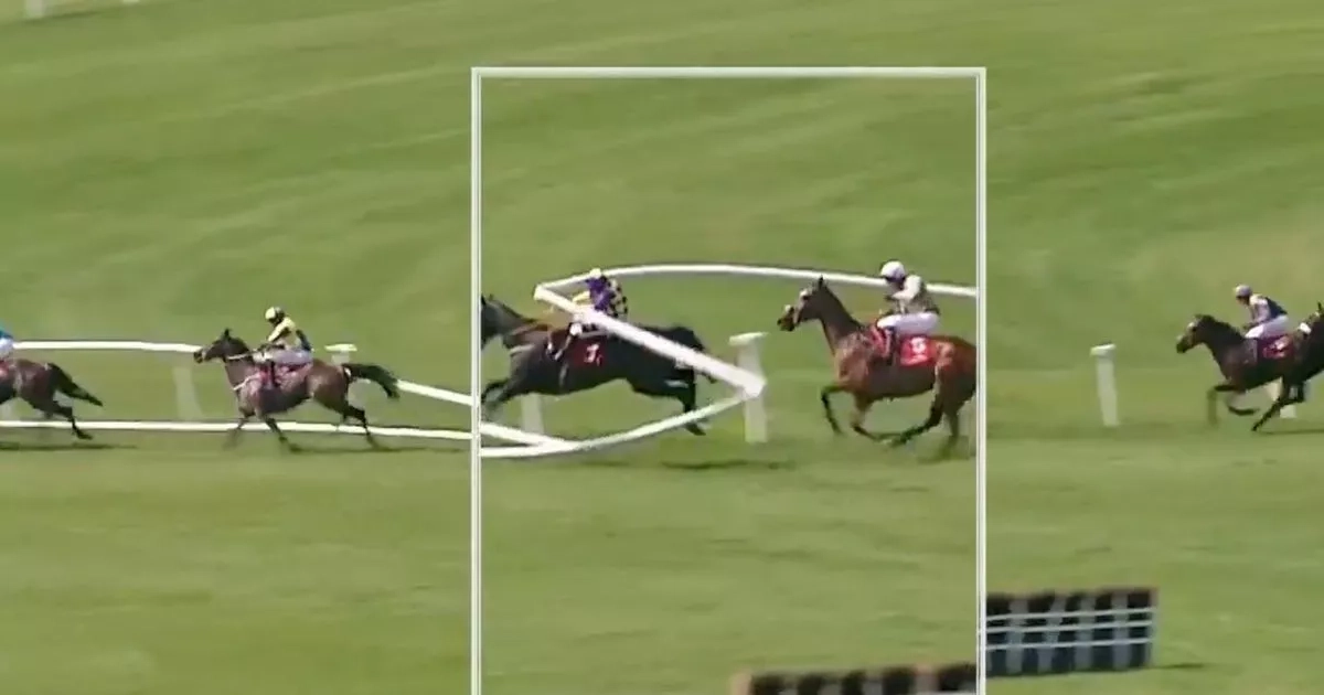 Punchestown carnage as horse crashes through rail knocking several out of contention