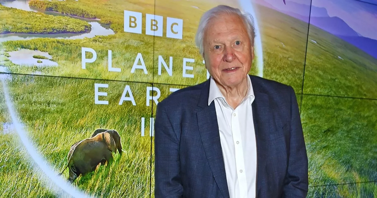 Sir David Attenborough's '10-minute practice' could boost your health