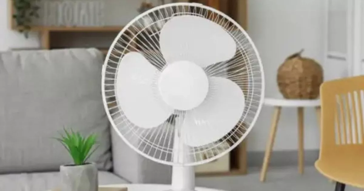 Shoppers beat the heatwave by snagging 'small but powerful' Argos fan for less than £3