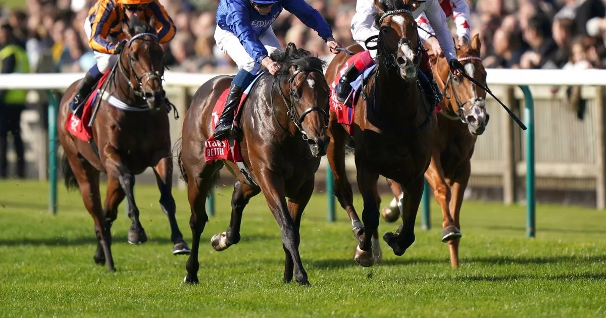 Newsboy's ITV selections for Newmarket and Goodwood plus tips from Friday's other meetings