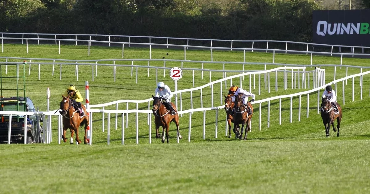 "He'll be back" - Constitution Hill retirement talk quashed by trainer Nicky Henderson