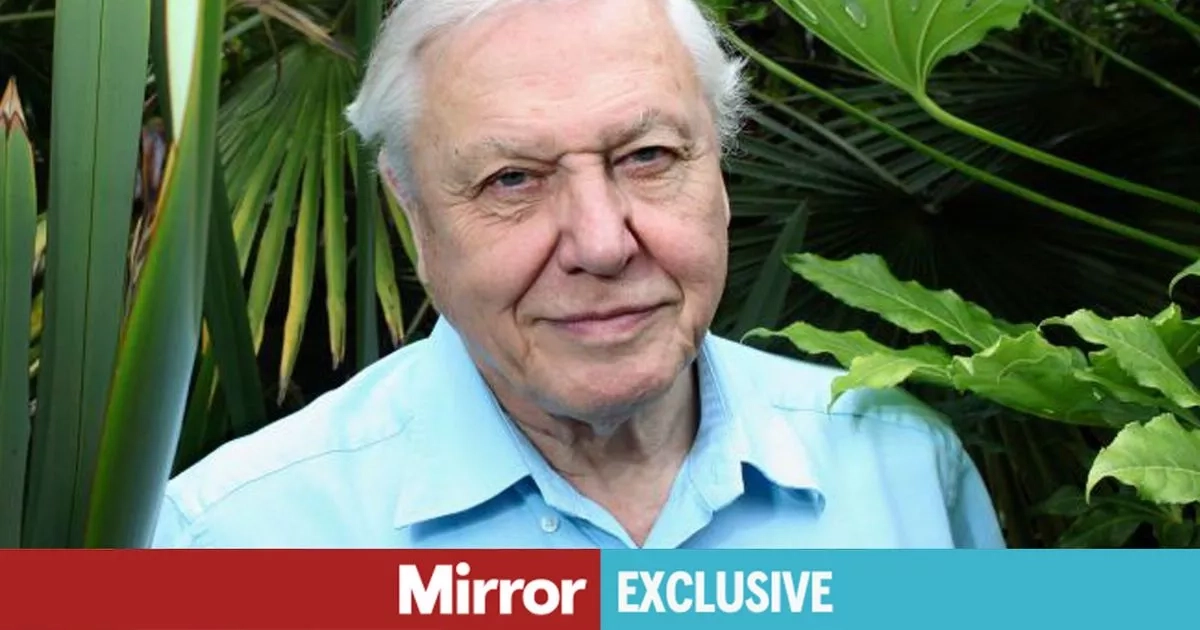 Sir David Attenborough to front new landmark BBC series weeks after 99th birthday