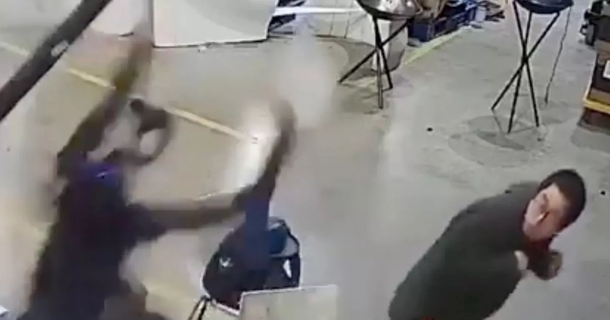 Terrifying moment robot 'wakes up' and attacks humans while 'trying to escape'
