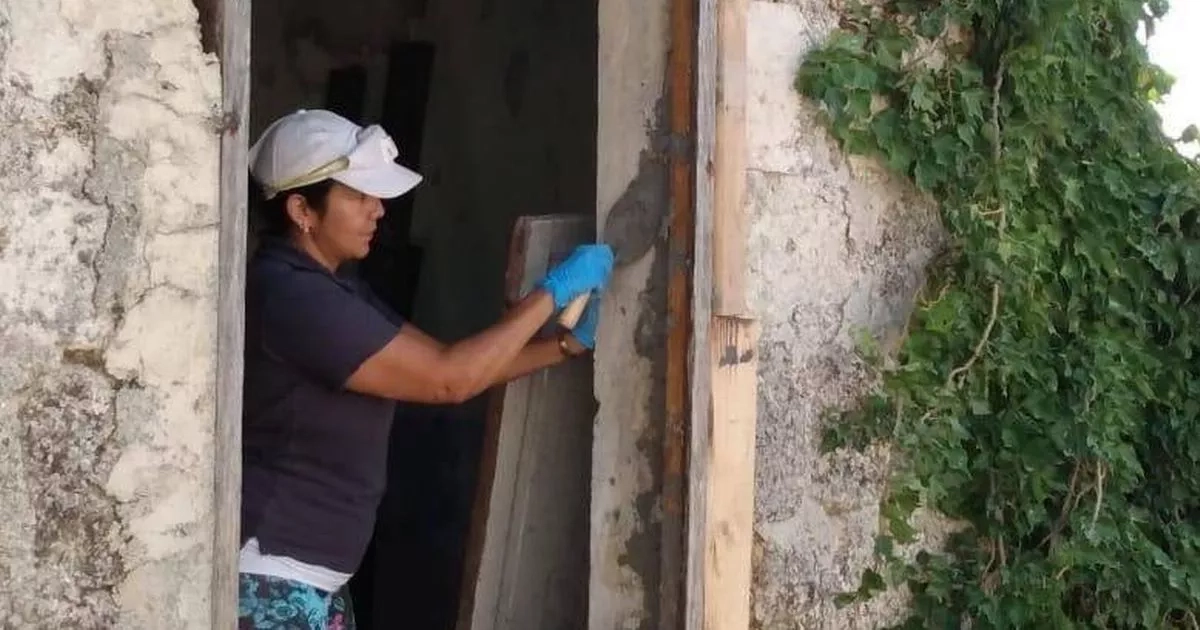 Woman buys six Italian homes for £5 in beautiful town and has big plans for them