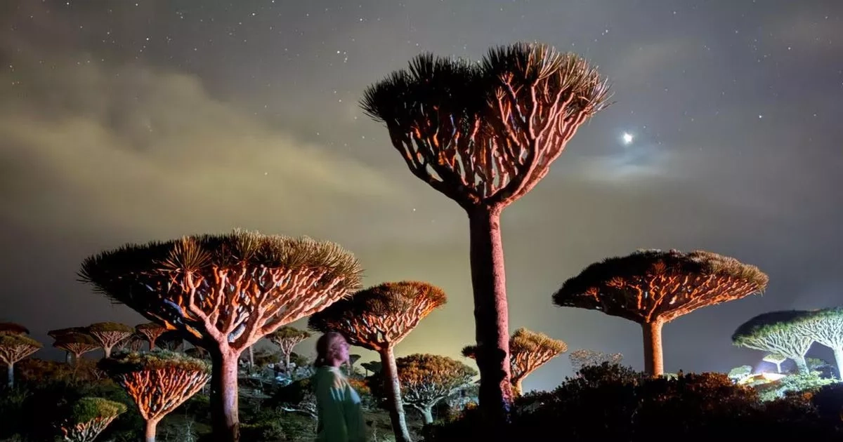 Dark tourists flock to 'alien island' you can only get to via WhatsApp