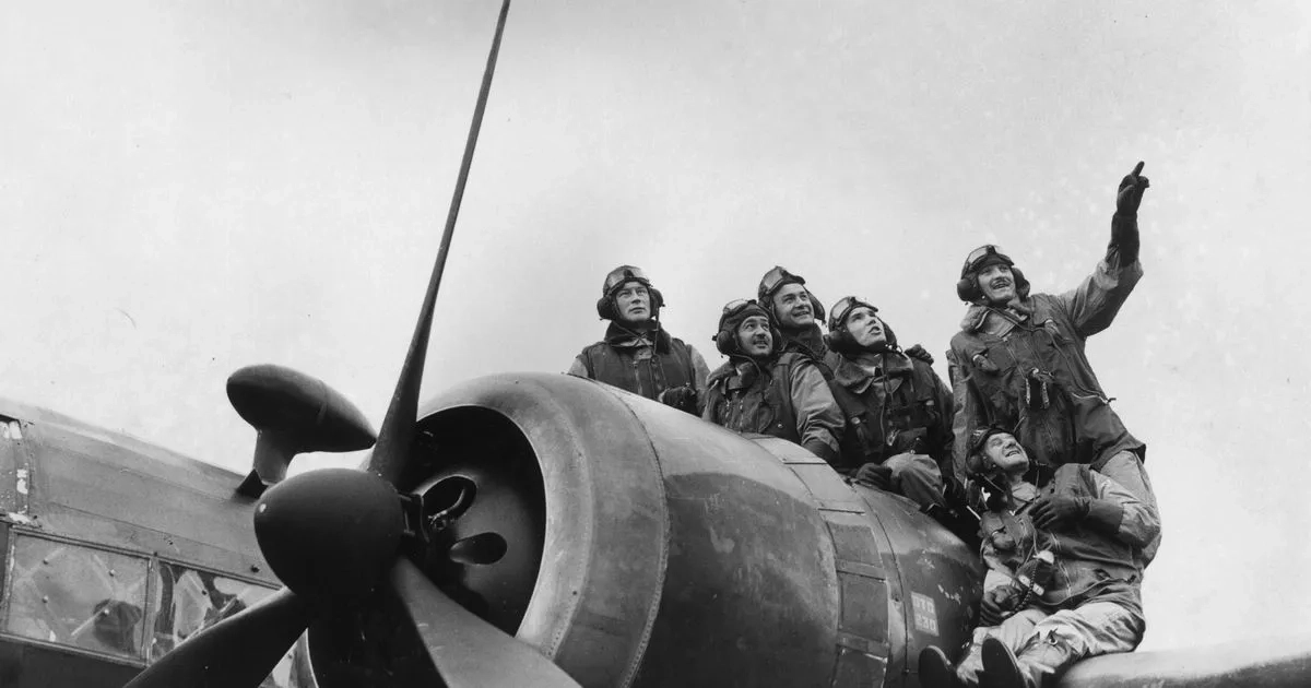 VE Day: 'My Polish grandad chose to come to Britain to keep fighting'
