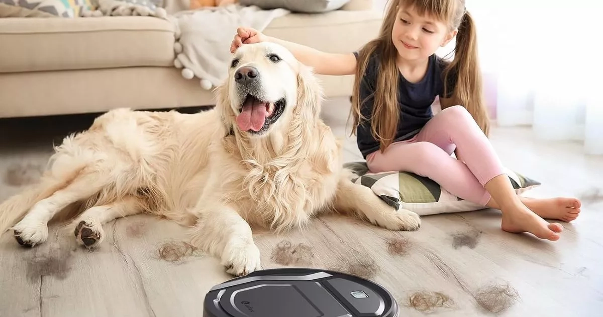 Amazon's 'dust-gobbler' robot vacuum plunges to less than £100
