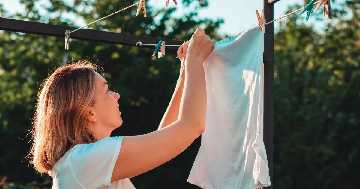 Warning to anyone hanging bed sheets out in their gardens to dry