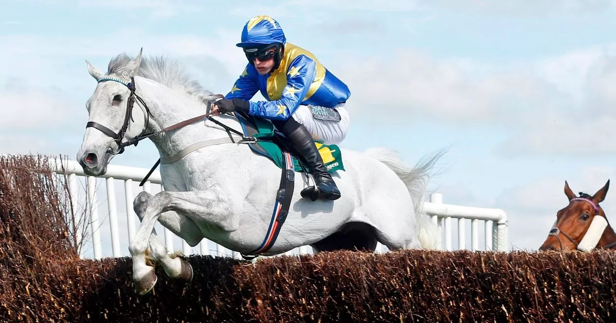 One-eyed horse delights fans with sixth victory at his favourite track