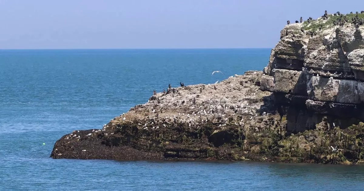 ‘Stunning' Anglesey holiday cottage with sea views and hot tub