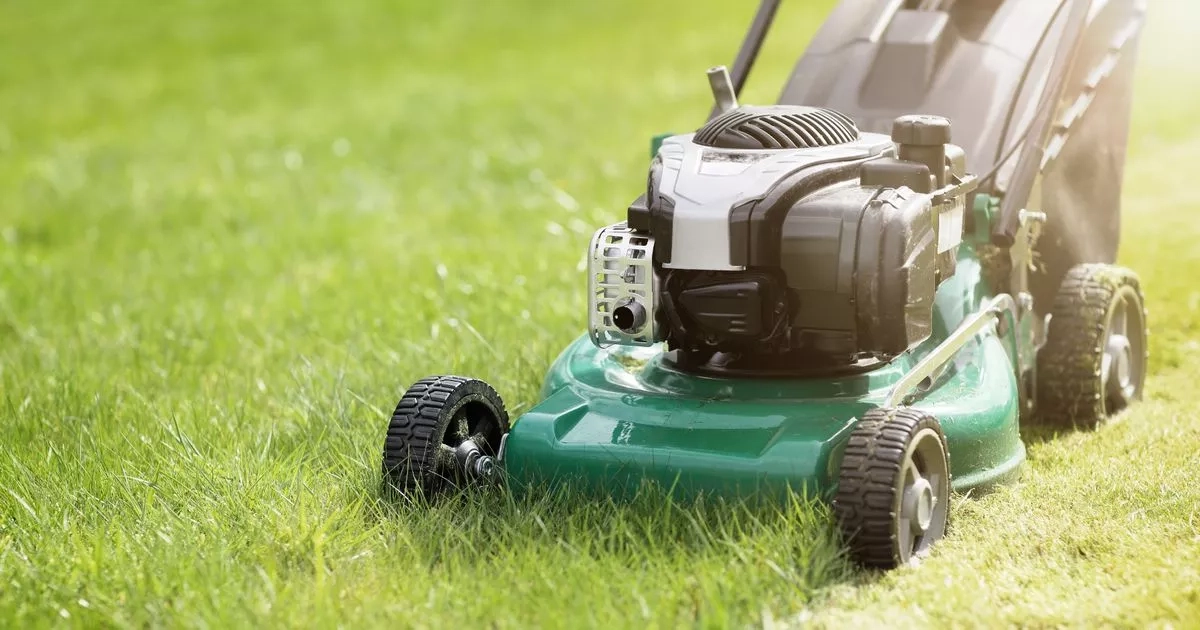 Brits 'shouldn't be cutting their garden grass this week'