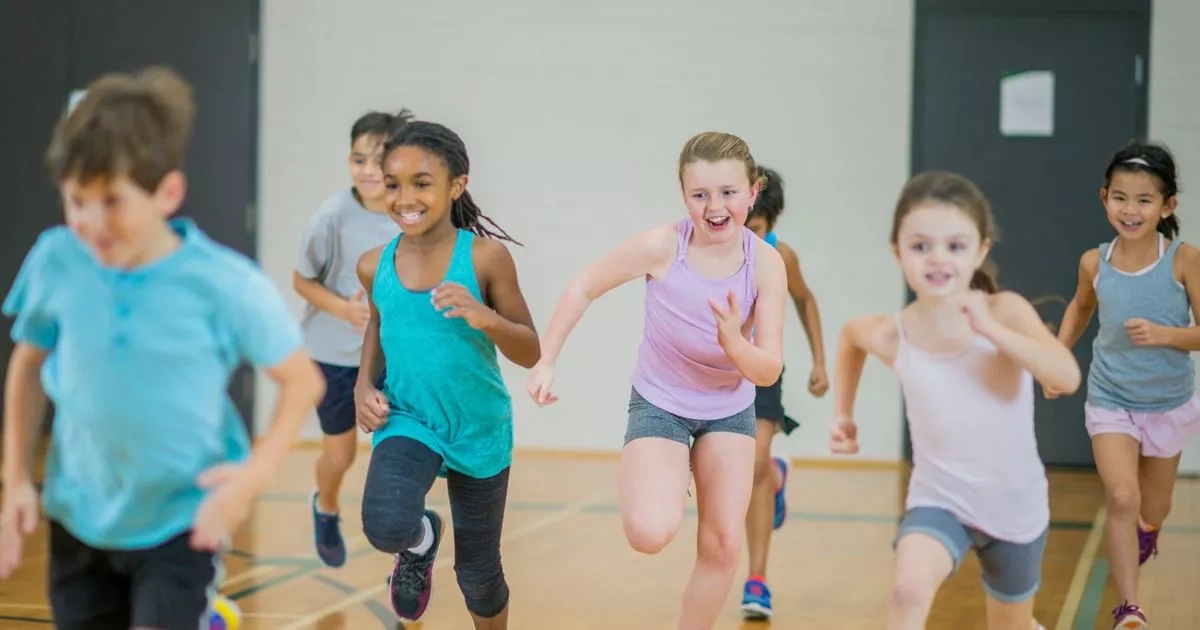 Pupils with special educational needs and disabilities to get better PE access