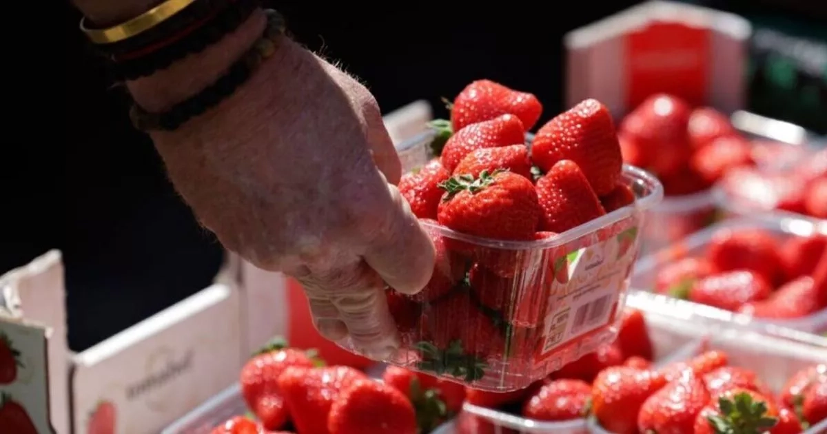 Alert issued for UK households buying strawberries at major supermarkets