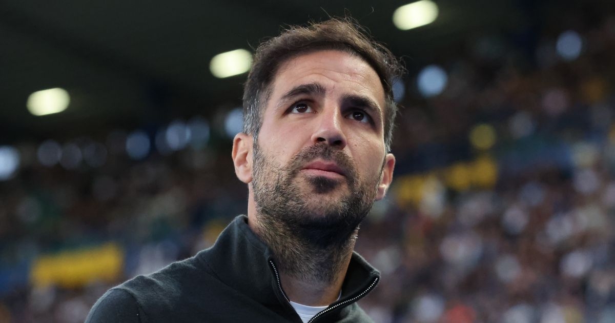 Cesc Fabregas decides on surprise new job as mega-money Saudi deal agreed