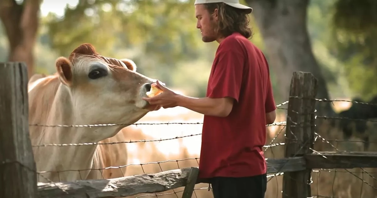 ‘My Netflix documentary turned people vegan and you won't believe what I saw'