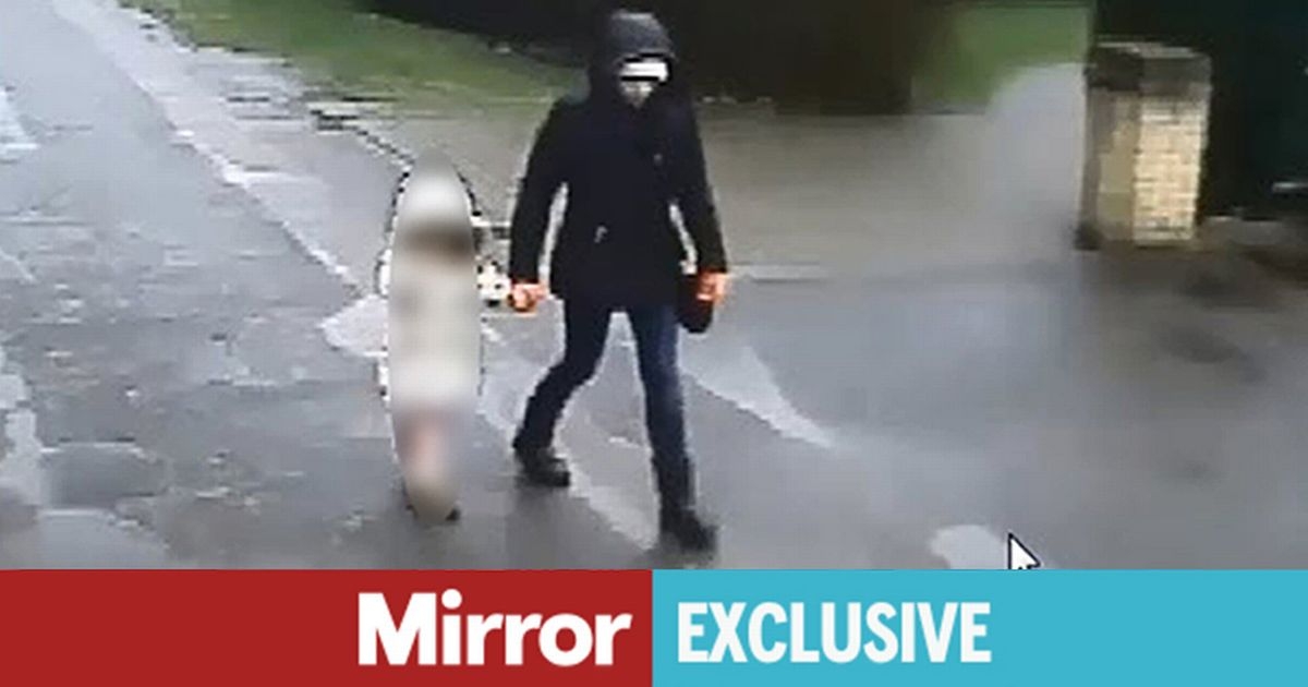 Harrowing final moments of mum murdered in front of daughter on school run