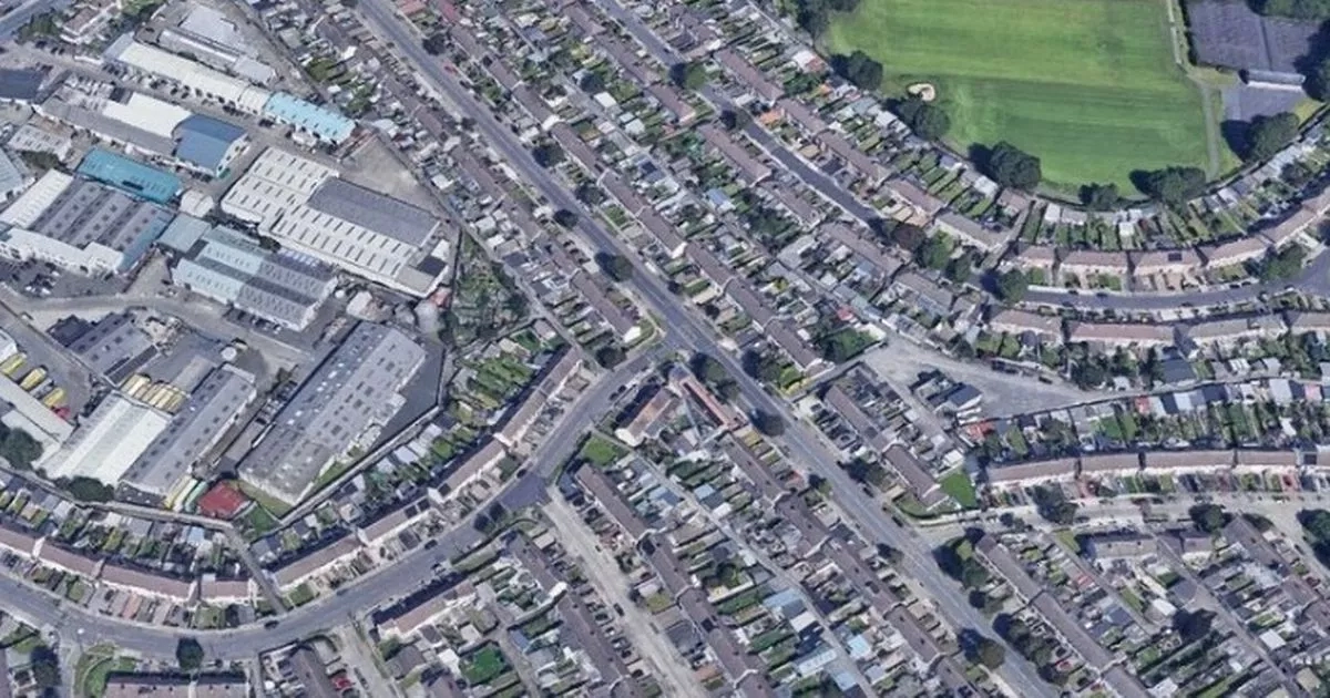 Elderly woman says 8 heartbreaking words after being hit by 'distracted' driver