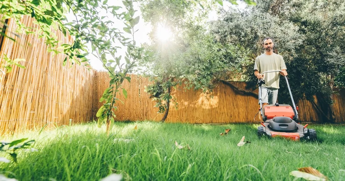 Amazon slashes ‘lightweight and easy to manoeuvre' cordless lawnmower by £100