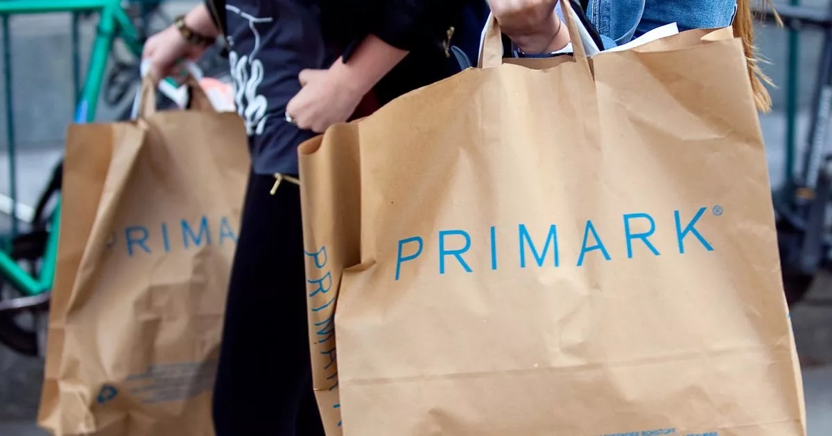 Primark's 'chic' £12 bag looks 'just like' £912 designer version