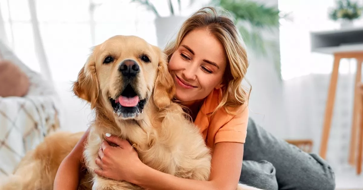 Dog owners warned about 'pretty common' sign pets are having a stroke