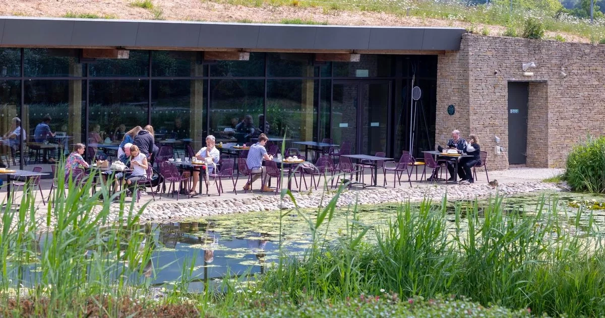 All UK motorway services ranked from 'delightful' winner to 'smelly' loser