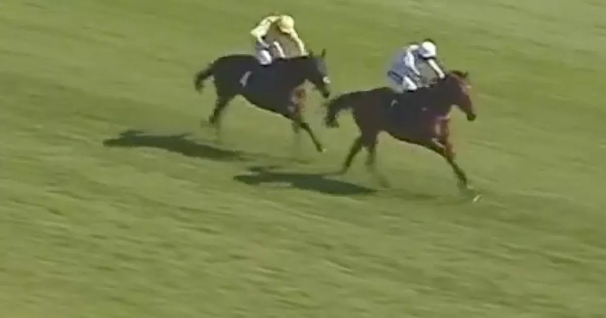Trainer ‘shocked' after massive gamble on horse which won after 903-day absence