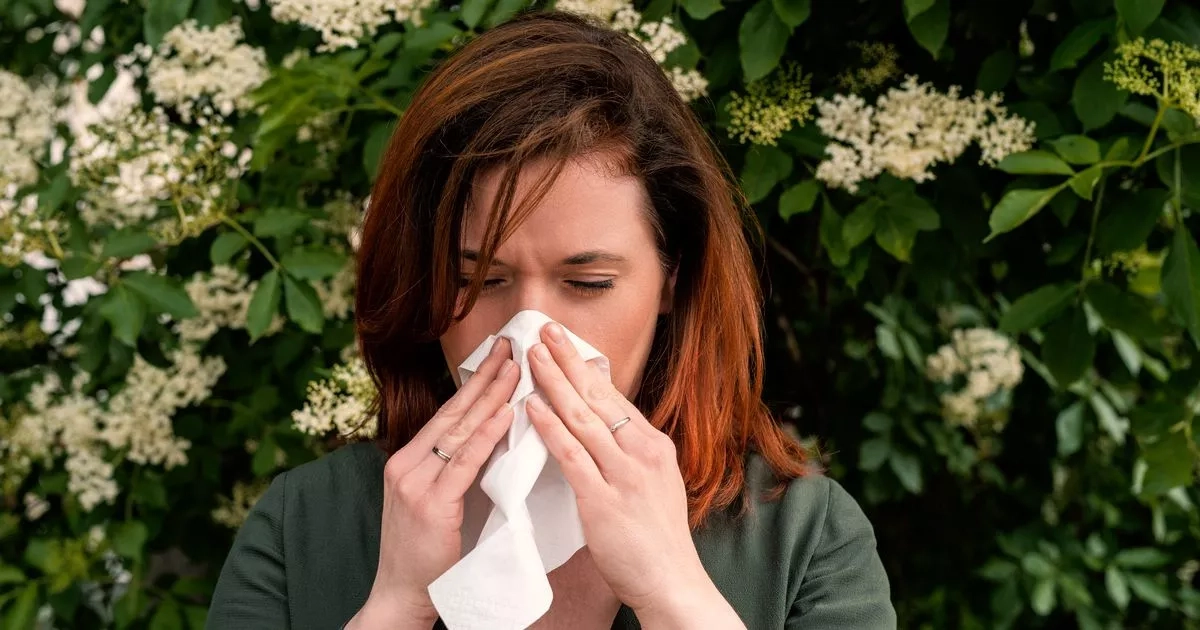 Allergy tablets with thousands of 5-star reviews now have 36% off