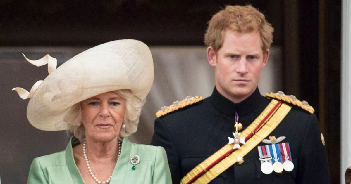 Prince Harry says he 'tried not to care' about Queen Camilla's move after big life change