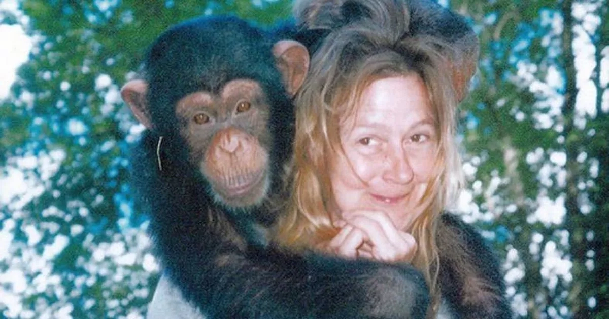 Harrowing three words in emergency call as pet chimp ripped off woman's face