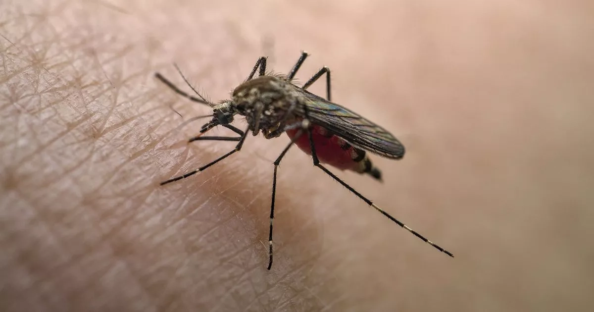 Trio of killer viruses to hit UK 'any time now' - and there's no treatment