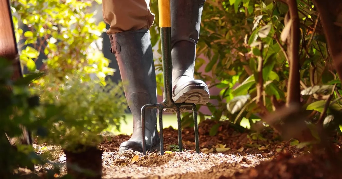 Heavy-duty 7-piece gardening tool set worth £150 discounted to less than £100