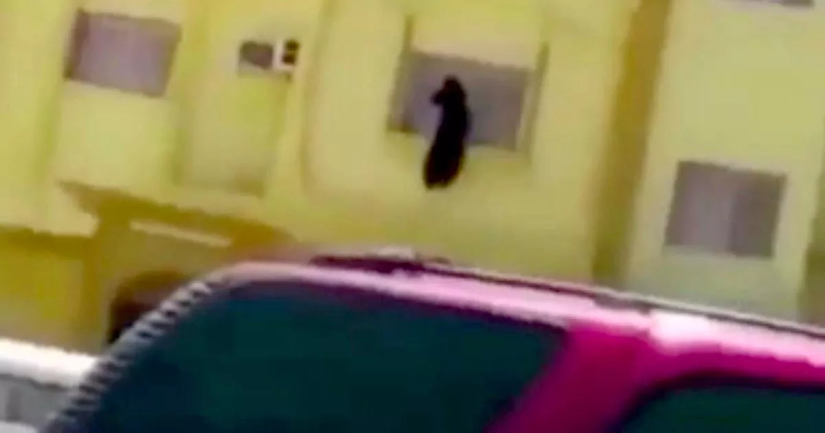 Womens' desperate escape bids from Saudi Arabia 'secret rehabilitation prisons'