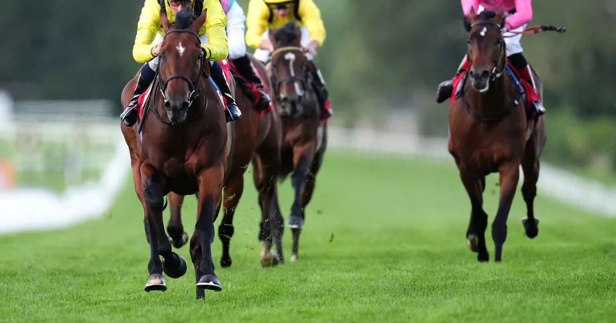 Newsboy's Daily Double plus tips on every race from Thursday's five meetings