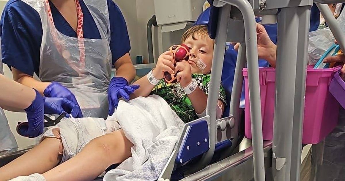 'His cheek was hanging off': Boy, 4, savaged by neighbour's dogs