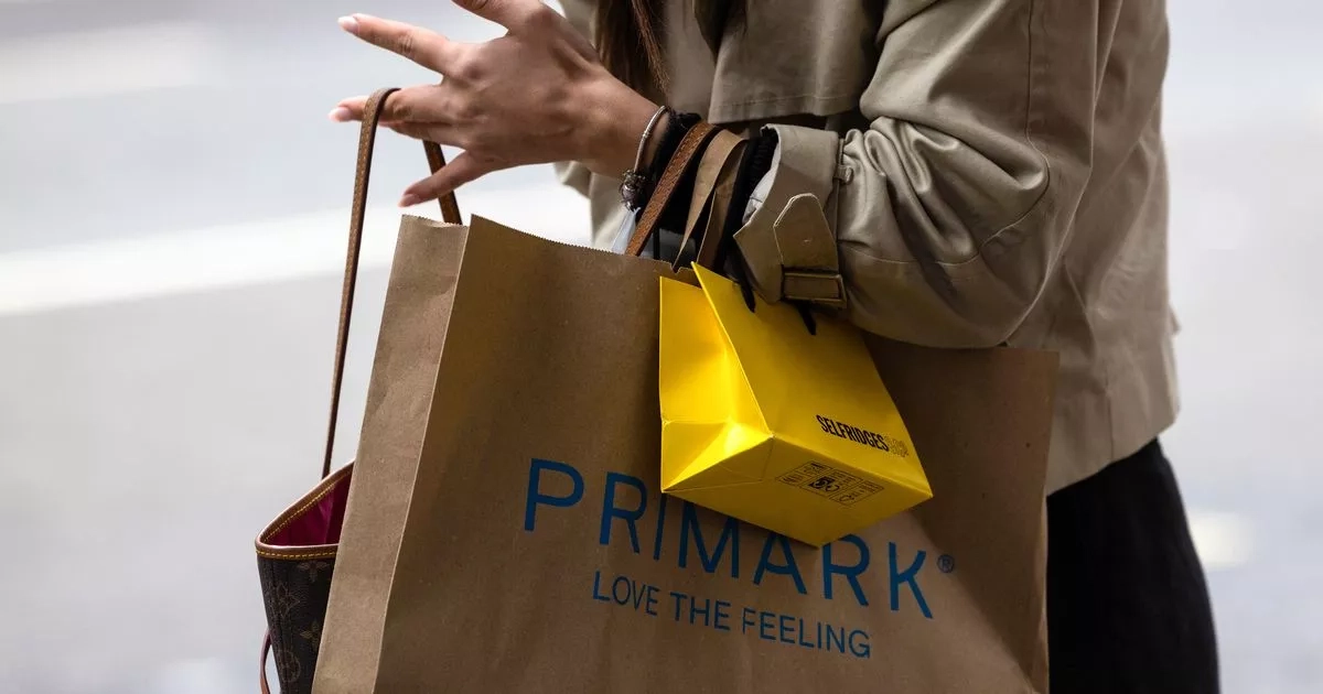 Primark's 'sleek' £10 handbag 'so similar' to £2,300 Gucci version